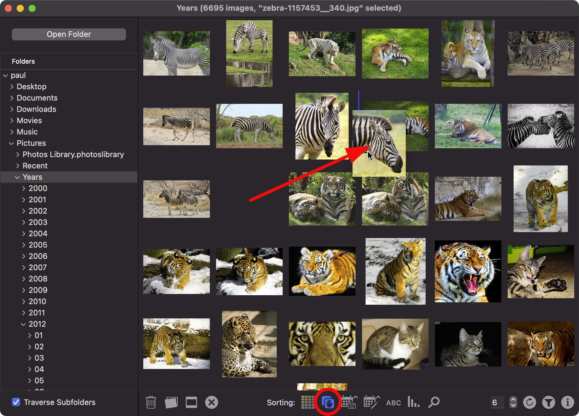 New in 2.1: In manual sorting mode, the order of the images can be changed by hand.