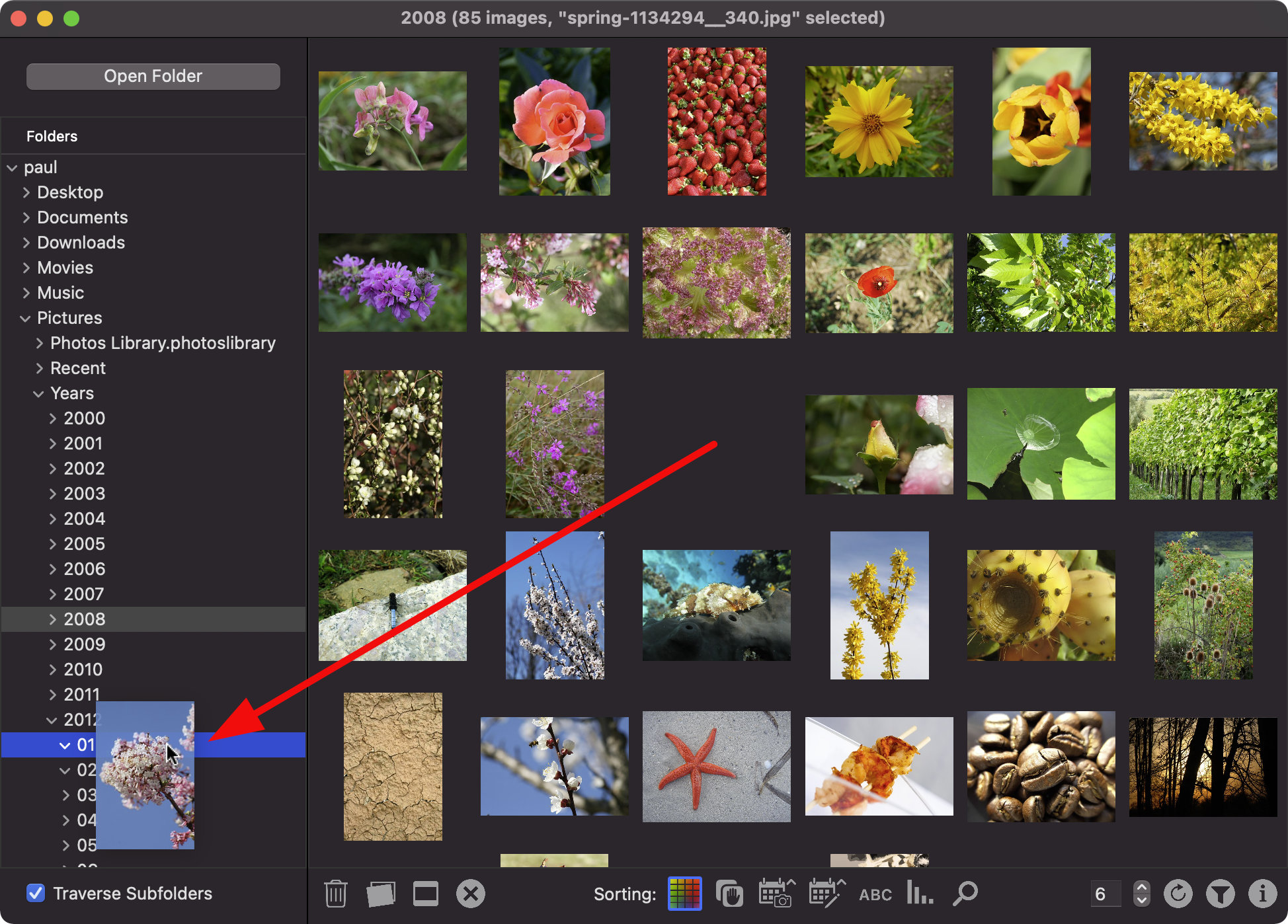 New in 2.1: By moving to a folder, selected images can be moved or copied (hold option key) in the file system.